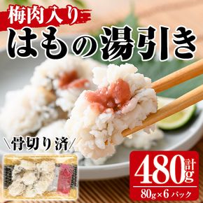 鱧の湯引き 梅肉入り(計480g・80g×6P)はも ハモ 骨切り 海鮮 おつまみ 国産 小分け 冷凍 魚介 宮崎県産【MR-3】【マルユウ水産】