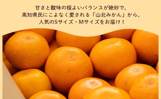 山北みかん (S,Mサイズ) 3kg 秀品 約25～40個入り 甘い - 果物 フルーツ 柑橘類 温州みかん ミカン 蜜柑 甘い おいしい 美味しい 山北みらい 高知県 香南市 yk-0030