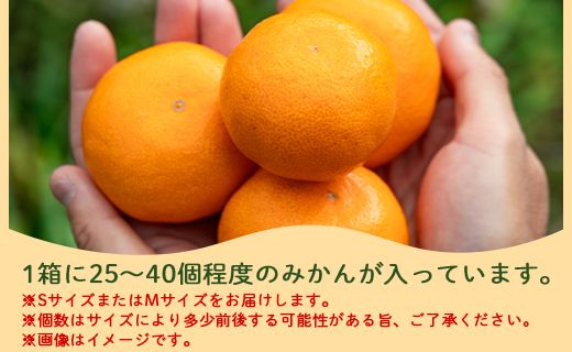 山北みかん (S,Mサイズ) 3kg 秀品 約25～40個入り 甘い - 果物 フルーツ 柑橘類 温州みかん ミカン 蜜柑 甘い おいしい 美味しい 山北みらい 高知県 香南市 yk-0030