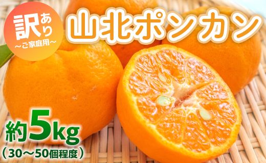 ぽんかん 5kg(約30〜50個程度) わけあり 山北ポンカン - 果物 フルーツ 柑橘類 ぽんかん ミカン 蜜柑 訳アリ わけあり 生産者応援 甘い おいしい 美味しい 山北みらい yk-0051