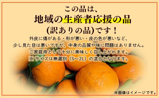 ぽんかん 5kg(約30～50個程度) わけあり 山北ポンカン - 果物 フルーツ 柑橘類 ぽんかん ミカン 蜜柑 訳アリ わけあり 生産者応援 甘い おいしい 美味しい 山北みらい 高知県 香南市 yk-0031