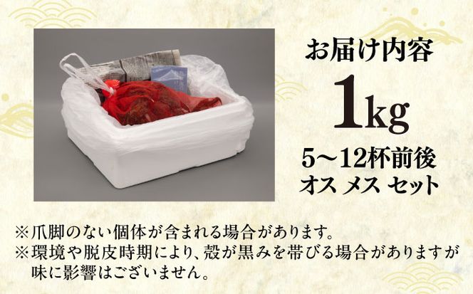 【先行予約】【2026年11月下旬以降順次発送】新鮮 活モクズガニ 1kg (5〜12杯前後) オス メス セット《築上町》【明青丸】 蟹 カニ カニ味噌[ABCB005]