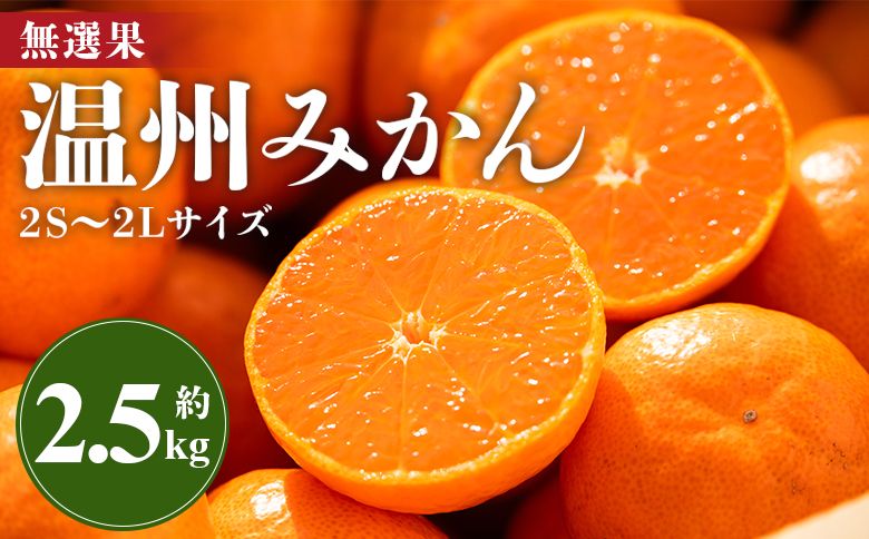 みかん 温州みかん 2.5kg 小玉大玉 柑橘 [無選果] 大小混合 フルーツ 果物 山のてっぺん間城農園みかん 甘い 山北みかん - ミカン 蜜柑 柑橘 柑橘類 フルーツ 果物 くだもの 甘い サイ