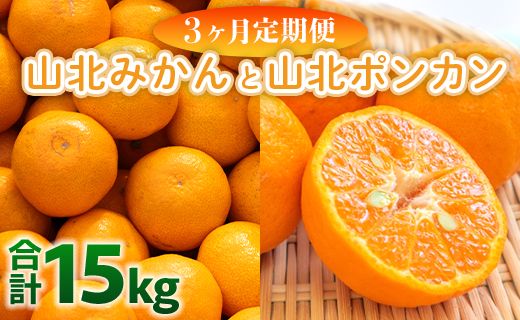 みかん 定期便 3回 合計15kg 山北みかん 10kg 80~120玉 山北ポンカン 5kg 30~50玉 秀品 甘い - 果物 フルーツ 柑橘類 温州みかん ぽんかん ミカン 蜜柑 甘い おいしい 山北みらい 高知県 香南市 Wyk-0032