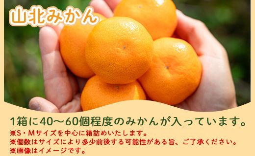 みかん 定期便 3回 合計15kg 山北みかん 10kg 80~120玉 山北ポンカン 5kg 30~50玉 秀品 甘い - 果物 フルーツ 柑橘類 温州みかん ぽんかん ミカン 蜜柑 甘い おいしい 山北みらい 高知県 香南市 Wyk-0032