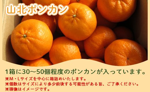 みかん 定期便 3回 合計15kg 山北みかん 10kg 80~120玉 山北ポンカン 5kg 30~50玉 秀品 甘い - 果物 フルーツ 柑橘類 温州みかん ぽんかん ミカン 蜜柑 甘い おいしい 山北みらい 高知県 香南市 Wyk-0032