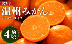 みかん 温州みかん 4kg 小玉大玉 柑橘 【無選果】 大小混合 フルーツ 果物 山のてっぺん間城農園みかん 甘い 山北みかん - ミカン 蜜柑 柑橘 柑橘類 フルーツ 果物 くだもの 甘い 家庭用 