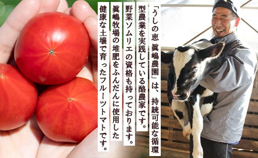 【先行受付】野菜ソムリエが育てた 家庭用 フルーツトマト 合計1.5kg(500g×3袋) 甘い 高知 うしの恵 - 野菜 料理 アレンジ サラダ 完熟 甘い あまい フレッシュ mj-0021