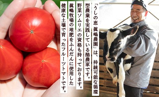 野菜ソムリエが育てた 家庭用 フルーツトマト 合計1.5kg(500g×3袋) 甘い 高知 うしの恵 - 野菜 料理 アレンジ サラダ 完熟 甘い あまい フレッシュ さっぱり 酸味 うしの恵 小分け おいしい 国産 高知県 香南市 mj-0014