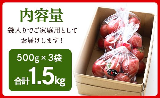 野菜ソムリエが育てた 家庭用 フルーツトマト 合計1.5kg(500g×3袋) 甘い 高知 うしの恵 - 野菜 料理 アレンジ サラダ 完熟 甘い あまい フレッシュ さっぱり 酸味 うしの恵 小分け おいしい 国産 高知県 香南市 mj-0014