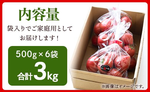 野菜ソムリエが育てた 家庭用 フルーツトマト 合計3kg(500g×6袋) 甘い 高知 うしの恵 小分け - 野菜 産地直送 サラダ 完熟 甘い あまい フレッシュ さっぱり 酸味 うしの恵 小分け おいしい 国産 高知県 香南市 mj-0015