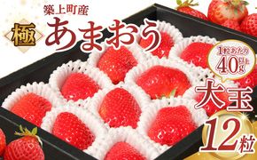 【1月中旬以降順次発送】築上町産 あまおう  12粒《築上町》【エースいちご株式会社】 大粒 あまおう 苺 いちご[ABAG006]