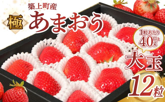 【1月中旬以降順次発送】築上町産 あまおう  12粒《築上町》【エースいちご株式会社】 大粒 あまおう 苺 いちご[ABAG006]