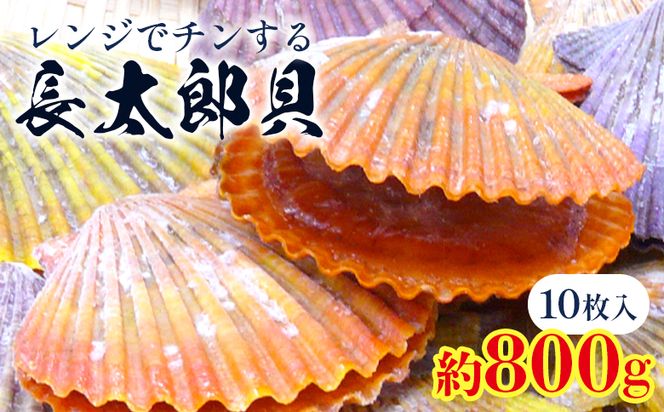 ymszWŃ`I钷YL 10 800g z^e̒ L - qIEML ЂL  CN CY  L  o[xL[ BBQ AEghA Lv mt[Y m s Ⓚ kf-0001