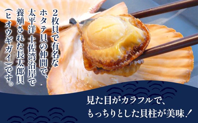 レンジでチン！する長太郎貝 10枚入 約800g ホタテの仲間 貝柱 - ヒオウギ貝 ひおうぎ貝 魚介類 海鮮 海産物 個包装 貝柱 酒蒸し バーベキュー BBQ アウトドア キャンプ 興洋フリーズ株式会社 高知県 香南市 冷凍 kf-0001