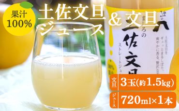 土佐文旦ジュース 720ml×1本＆文旦 約1.5kg（3玉） 糖度13度以上 果汁100％ 山のてっぺん間城農園 - ぶんたん フルーツ 果物 くだもの 柑橘 国産 果実 ドリンク 飲み物 高知県 香南市 ms-0070