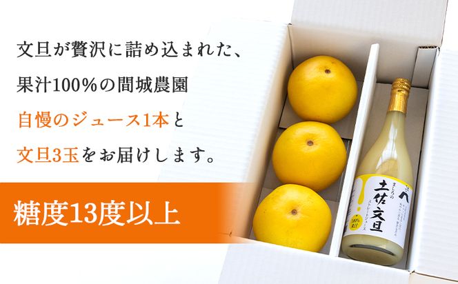 土佐文旦ジュース 720ml×1本＆文旦 約1.5kg（3玉） 糖度13度以上 果汁100％ 山のてっぺん間城農園 - ぶんたん フルーツ 果物 くだもの 柑橘 国産 果実 ドリンク 飲み物 高知県 香南市 ms-0070