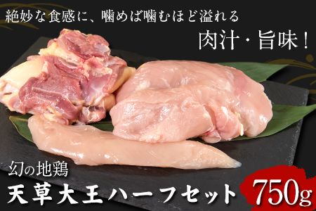 天草大王　ハーフセット《60日以内に出荷予定(土日祝除く)》約750g【幻の地鶏】もも・むね・ささみ各1枚 熊本県産 あそ大王ファーム株式会社---so_fasohalf_60d_r7_11000_750g---