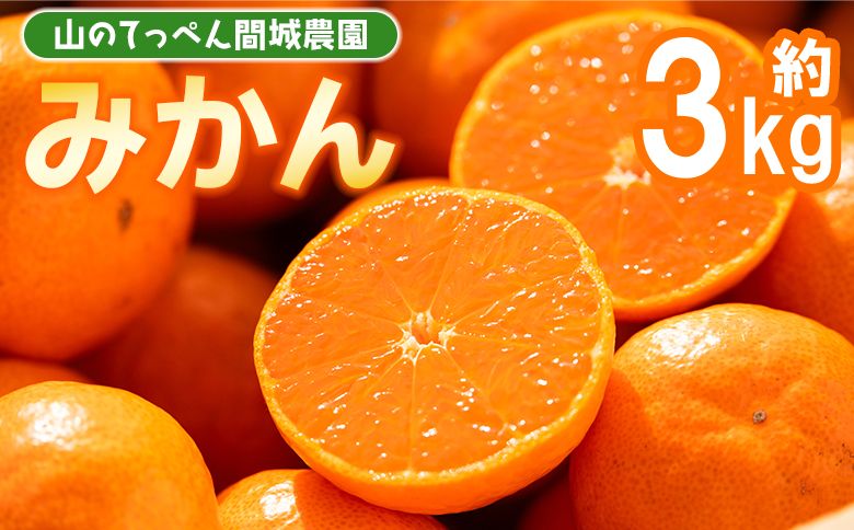 山のてっぺん間城農園のみかん3kg - フルーツ 果物 柑橘 みかん フルーツ 柑橘 期間限定 ms-0045