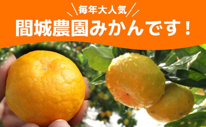 山のてっぺん 間城農園 みかん (家庭用) 約5kg - 果物 くだもの フルーツ 柑橘 温州みかん ミカン 送料無料 数量限定 期間限定 高知県 香南市【常温】 ms-0074