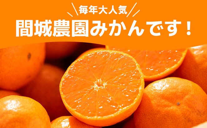 山のてっぺん間城農園のみかん3kg - フルーツ 果物 柑橘 みかん フルーツ 柑橘 期間限定 ms-0045