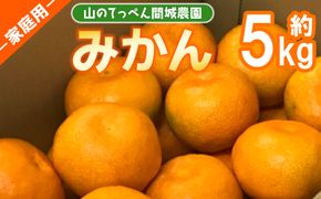 山のてっぺん 間城農園 みかん (家庭用) 約5kg - 果物 くだもの フルーツ 柑橘 温州みかん ミカン 送料無料 数量限定 期間限定 高知県 香南市【常温】 ms-0074