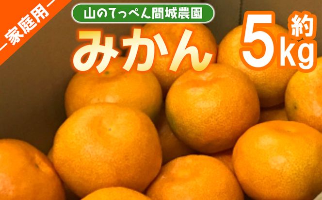 山のてっぺん 間城農園 みかん (家庭用) 約5kg - 果物 くだもの フルーツ 柑橘 温州みかん ミカン 送料無料 数量限定 期間限定 高知県 香南市【常温】 ms-0074