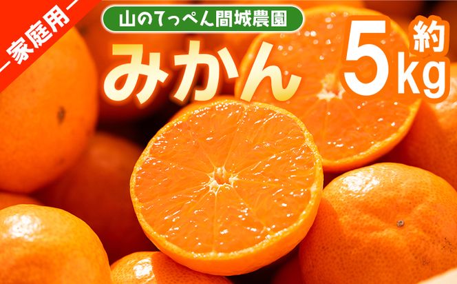 山のてっぺん 間城農園 みかん (家庭用) 約5kg - 果物 くだもの フルーツ 柑橘 温州みかん ミカン 送料無料 数量限定 期間限定 高知県 香南市【常温】 ms-0074