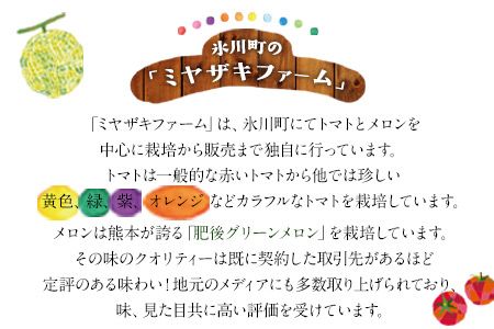 【先行予約】「ミヤザキファーム」 肥後グリーンメロン2玉 糖度14度以上(14度-17度) 熊本県氷川町産《6月中旬-6月末頃出荷》---sh_miyameron_j6_24_16000_2t---