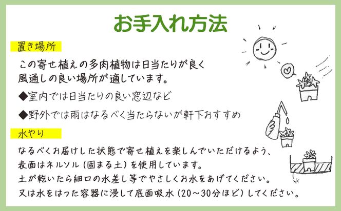 多肉植物 多肉 寄せ植え 1個 - 鉢植え インテリア ガーデニング おしゃれ グリーン プレゼント 観葉植物 多肉 植物 寄せ植え かわいい お楽しみ 自然 PUKUTTO 高知県 香南市 pk-0001