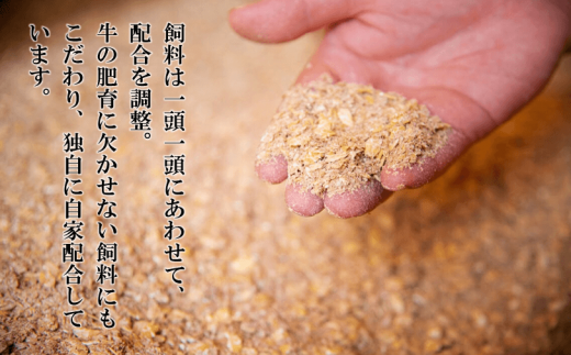 【幻の隠岐牛】サーロイン 上赤身 ステーキセット 400g 島育ちの本物のブランド黒毛和牛 (隠岐牛 黒毛和牛 牛肉 肉 ステーキ A4 A5 ブランド牛 放牧)