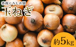 玉ねぎ 5kg 先行予約 野菜 高知 - 香南市産 国産 たまねぎ タマネギ 玉葱 野菜 オニオンスープ ハンバーグ 常備野菜 保存野菜 香南くろしお園 高知県 香南市 ke-0004