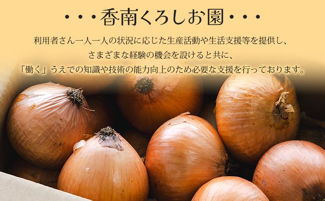 玉ねぎ 5kg 先行予約 野菜 高知 - 香南市産 国産 たまねぎ タマネギ 玉葱 野菜 オニオンスープ ハンバーグ 常備野菜 保存野菜 香南くろしお園 高知県 香南市 ke-0004