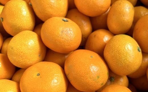 エコファーマーのこだわり有田みかん7.5kg（サイズ混合）★2025年11月中旬頃より順次発送 	BZ058