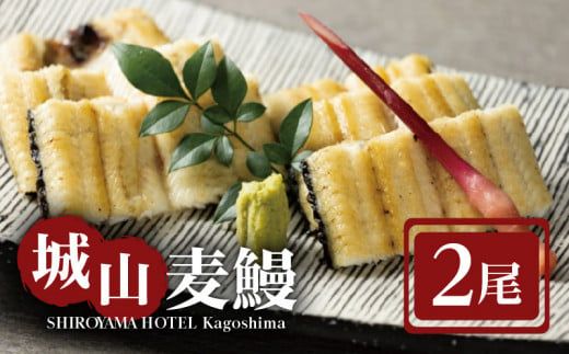 SHIROYAMA HOTEL kagoshima 城山麦鰻　K096-007