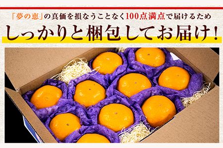 夢の恵 みかん 約2.5kg(20玉～30玉前後) 熊本県産 （長洲町産含む） 糖度12度以上 ブランドみかん ブランド 贈答用 贈り物《11月中旬-12月下旬頃出荷》 熊本県 長洲町---ng_yumemi_k11_24_9000_2kg---