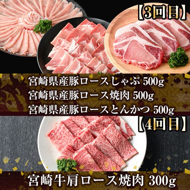 ＜定期便・全6回(連続)＞宮崎牛と県産豚の定期便(総量6.8kg)  牛肉 豚肉 もも 肉 肩ロース ウデ しゃぶしゃぶ 焼肉 豚バラ BBQ 精肉 小間切れ 豚小間 豚こま お取り寄せ 黒毛和牛 ブランド和牛 冷凍 国産【R-81】