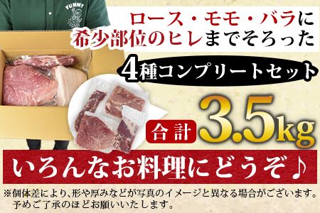 ＜宮崎県産豚肉ブロック 4種セット（ヒレ・ロース・モモ・バラ）合計3.5kg＞翌月末迄に順次出荷【b0406_ty】