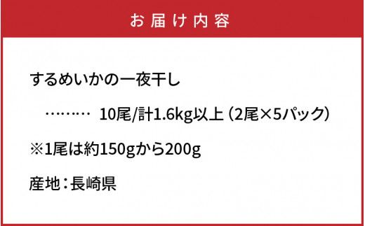 【訳あり】絶品！肉厚するめ烏賊一夜干したっぷり10尾（1.6kg以上） _1836R