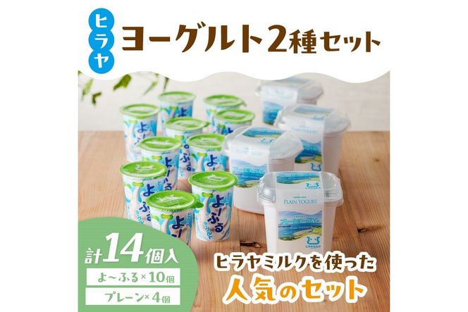 プレーンヨーグルトとよ～ふるのセット　ヒラヤ 乳製品 飲料 牛乳 ミルク 乳酸菌 乳酸菌飲料 ヨーグルト よーぐると AM00429