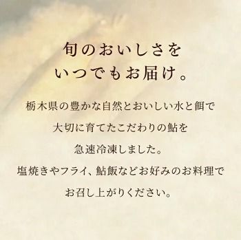 【天然仕立て 鮎 新鮮冷凍 中サイズ10尾】産地直送 おつまみ 高級 ※沖縄・離島への配送不可