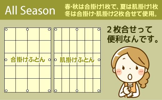 AM019【ダブル】洗濯機で洗える2枚合わせ羽毛ふとん【新津】｜合い掛け　肌掛け　オールシーズン