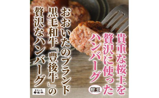 豊後牛と桜王豚のＷハンバーグ2kgセット_1485R