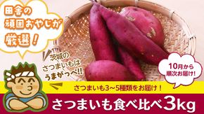 さつまいもの食べ比べセット3kg【令和6年10月より発送開始】（県内共通返礼品：行方市産）田舎の頑固おやじが厳選！ [BI33-NT]