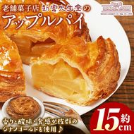 isa202 ＜期間限定・2026年2月発送分＞アップルパイ(約15cmホールタイプ) 国産 りんご 林檎 リンゴ シナノゴールド スイーツ 焼き菓子 洋菓子 お菓子 おかし パイ おやつ 【新富大生堂】