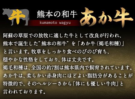 あか牛 上赤身焼肉用 1kg (250g×4個) 有限会社幸路《60日以内に出荷予定(土日祝を除く)》 あかうし 赤牛 焼肉 冷凍 小分けパック---so_fhakjakay4_60d_24_40000_1kg---