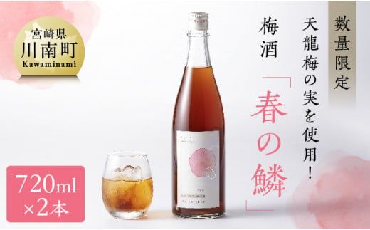 [数量限定]天龍梅の実を使用!オリジナル梅酒「春の鱗」(720ml×2本)[ お酒 アルコール 酒 梅酒 ] [F5603]