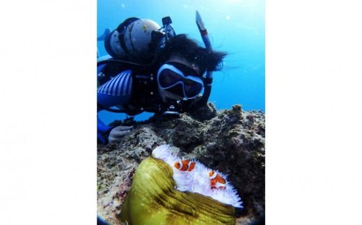 【CHABA Gua】クマノミパラダイス（２名様）体験ダイビング 〇 海 沖縄 読谷村 サンゴ礁