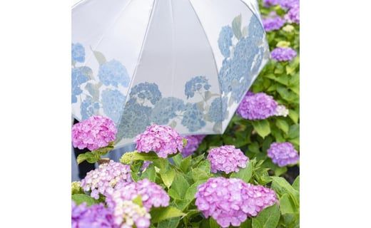 槙田商店【晴雨兼用折りたたみ傘】”絵おり” 紫陽花 FAA5061