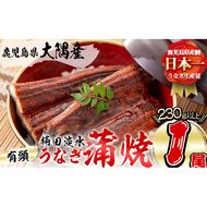 楠田の極うなぎ 蒲焼き 1尾(230g以上) a3-184